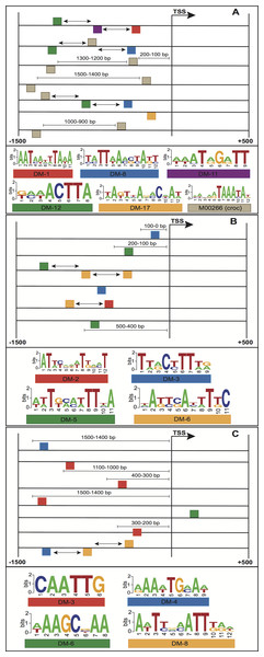 Structural features of three models with the highest performance, (A) embryo 12–14 h, (B) white prepupae +24 h and (C) pupae.