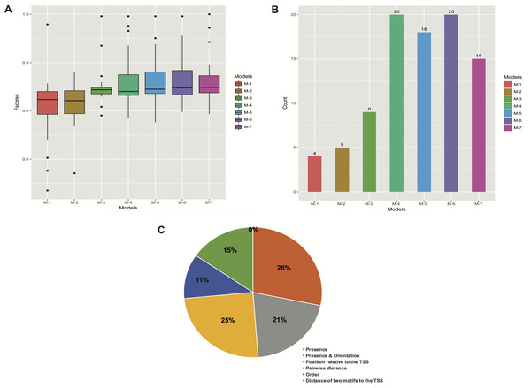 Performance of the models with different types of features. (A) Boxplots of Fscores. (B) Bar plots of the number of significant models. (C) Frequency of informative features in all the models.