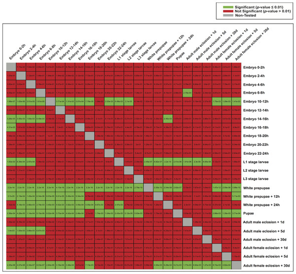 Heatmap of p-values indicating the ability of one model to characterize the promoter regions of genes expressed in the other stages.