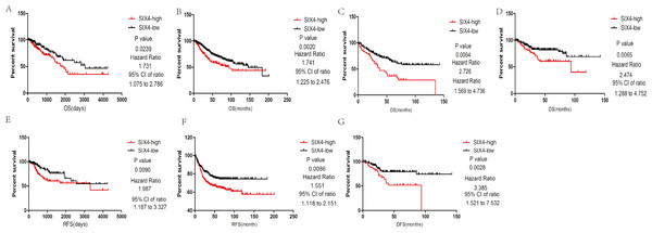 Upregulation of SIX4 was associated with poor CRC survival.