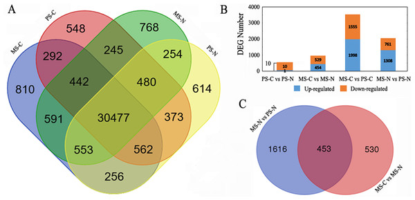 Statistical analysis of gene expression detected by RNA-seq.
