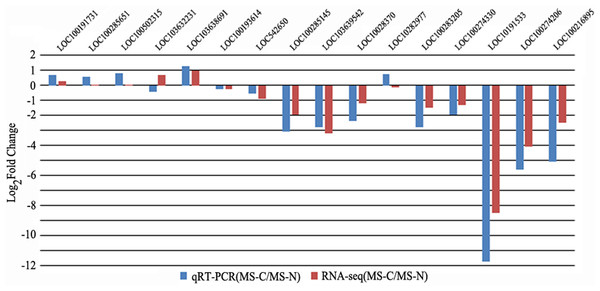 qRT-PCR verification on RNA-seq results and DEGs identification.
