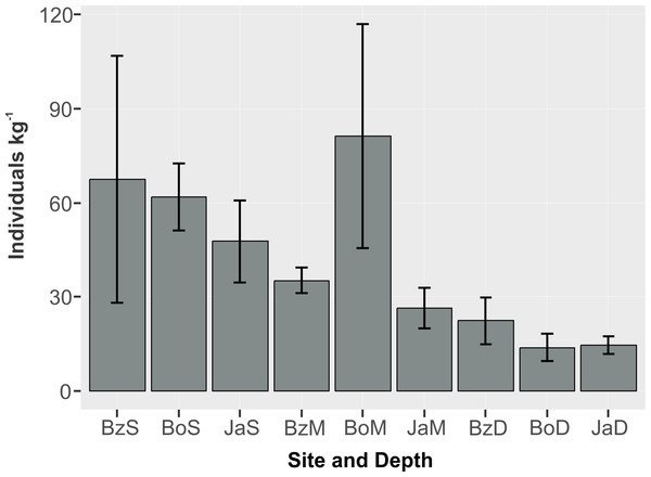 Abundance (individuals kg−1) (mean and standard error) of cryptic peracarids in coral rubble in three depths (S = shallow back-reef (3 m), M = intermediate depth fore-reef (6–8 m), D = deep fore-reef (10–12 m) of three reef sites (Bz: Bonanza, Bo = Bocana, Ja = Jardines) within the Puerto Morelos Reef National Park.