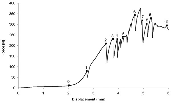 Load–displacement curve.