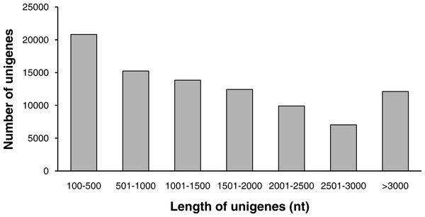 The length distribution of unigenes.