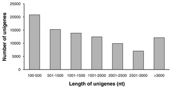 Characterization of the transcriptome and EST-SSR development in Boea ...