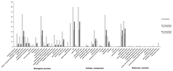 Gene ontology classification of unigenes between B. hygrometrica and B. clarkeana.