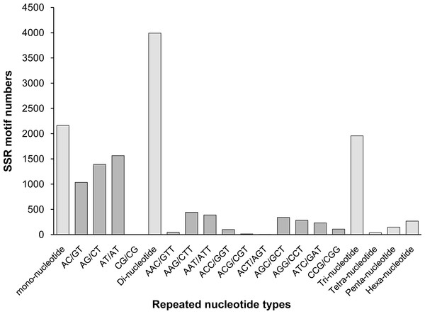 The distribution of the most repeated nucleotide types.