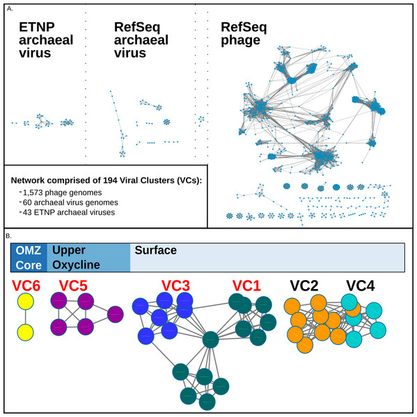 vConTact Network analysis of reference of phage and archaeal virus sequences with the ETNP archaeal virus dataset.