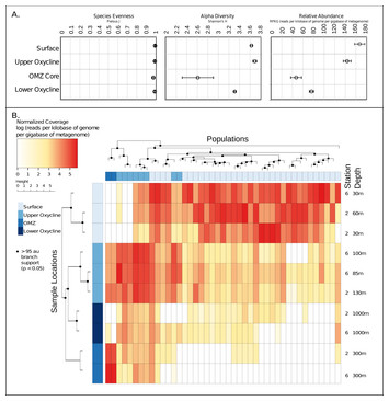 Putative archaeal viruses from the mesopelagic ocean [PeerJ]