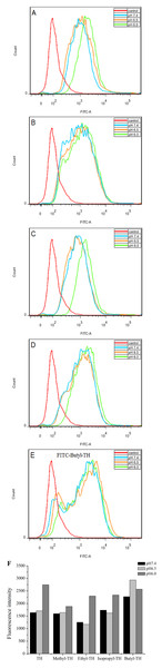 Flow cytometry analysis of Hela cells incubated with 5 µM FITC labeled TH analogs at different pH conditions (pH7.4, pH6.5 and pH6.0) for 1 h.