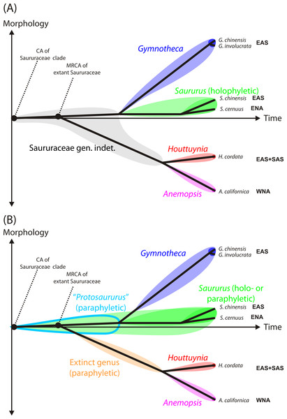 Practical shortcoming of cladistic classification for naming fossil and extant members of phylogenetic lineages (clades) using binominals.