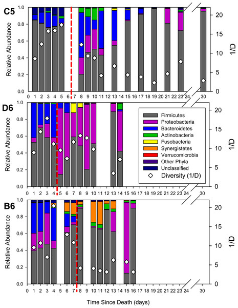 Relative abundance of phyla in the bacterial communities as a function of time since death (postmortem interval).