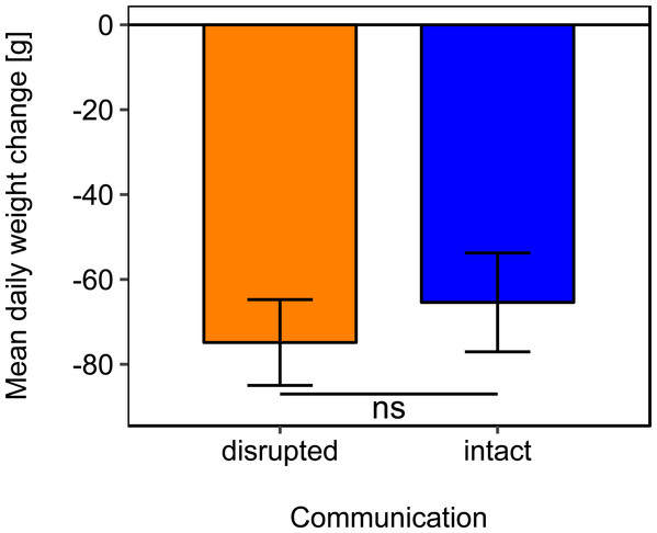 Effects of dance communication on mean daily weight change (±se) of honey bee colonies.