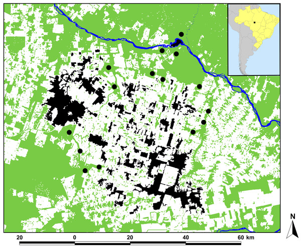 Location of the study region in Alta Floresta, northern Mato Grosso, Brazil.