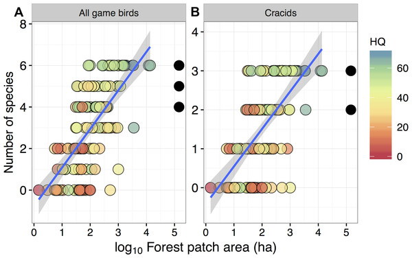 Relationship between forest patch area and gamebird species richness within 129 forest patches and 15 continuous forest sites.