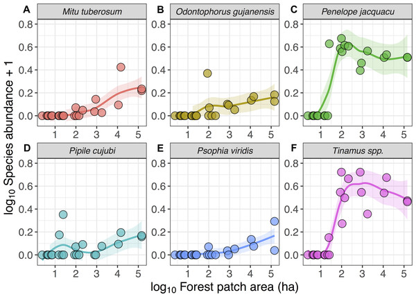 Relationship between forest patch area and gamebird species abundance within 21 forest patches and two continuous sites.