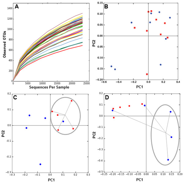 Rarefaction curves and Principal Component Analysis of the gut microbiota composition of the subjects of the study, obtained by 16S rRNA sequencing and QIIME.