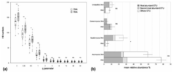 Alpha diversity and taxonomic composition of fungal communities in DNA and RNA fractions.