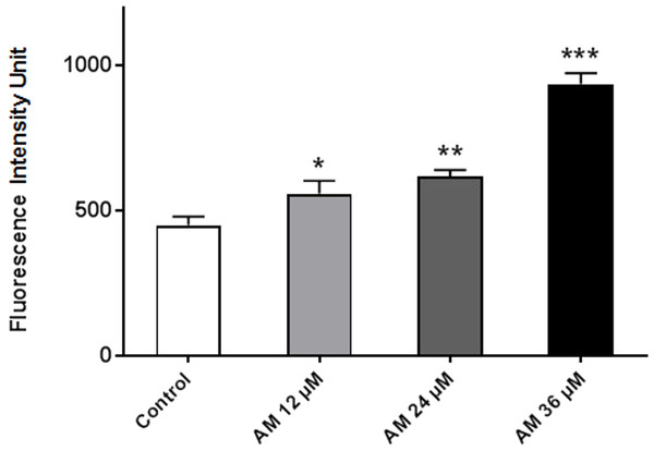 Effect of AM on ROS production in HeLa cells.