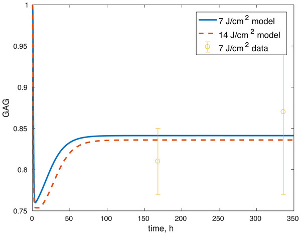 Projected relative concentration of GAG after 7 and 14 J/cm2 impact, compared to 7 J/cm2 data.