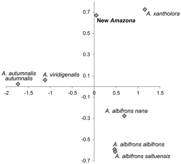 The plot of the two-factor coordinates from Principal Component Analysis for Amazona species displaying red head feathers from Mexico and Mesoamerica based on all morphometric features.