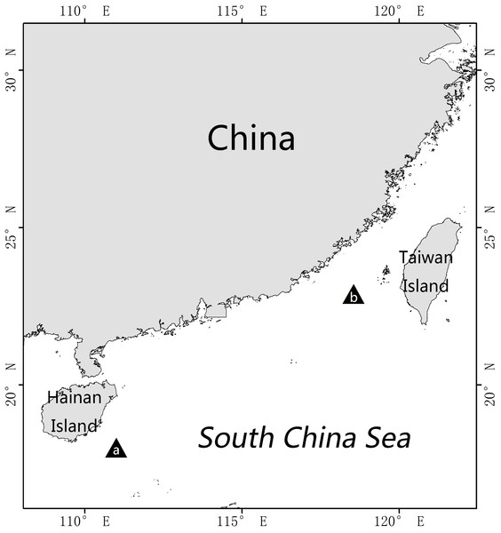 Sampling localities of Euphilomedes biacutidens sp. nov.