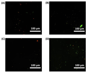 Microplasma-assisted hydrogel fabrication: A novel method for gelatin ...