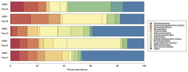 Relative abundance of 16S rRNA gene sequences for the WBD pools.