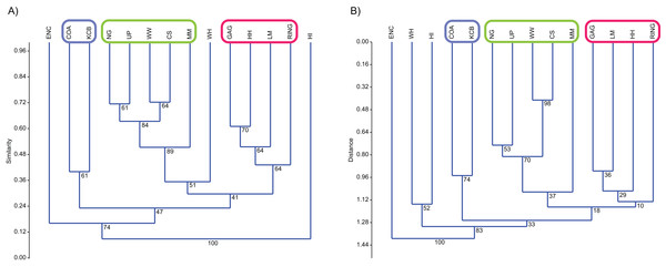 Example of species cluster analyses showing repeating clusters of palaeocommunities (blue = Neohelos & Wakaleo palaeocommunity; green = Bulungamaya & Wabularoo palaeocommunity; pink = Trichosurus & Nimbadon palaeocommunity).