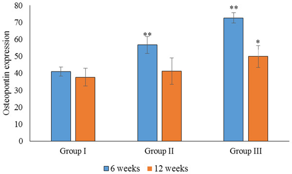 Statistical analysis of the percentage expression of osteopontin as a bone-formation marker between groups I, II and III at 6 and 12 weeks.