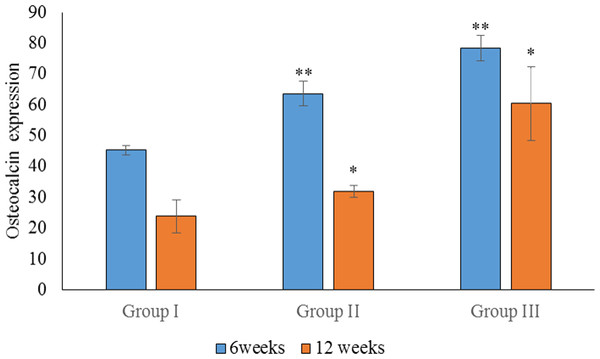 Statistical analysis of the percentage expression of osteocalcin as a bone-formation marker between groups I, II and III at 6 and 12 weeks.