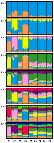 Bar plots of combined STRUCTURE analysis for clusters K = 2 to K = 9 of the investigated R. temporaria breeding pond populations in the study area.