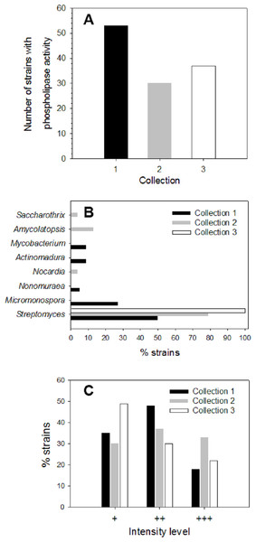 Screening of microbial collection for phospholipase activity.