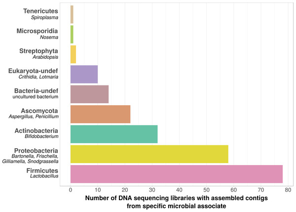 Taxonomic annotation of contigs assembled from ‘contaminated’ Apis DNA short read sequencing libraries.