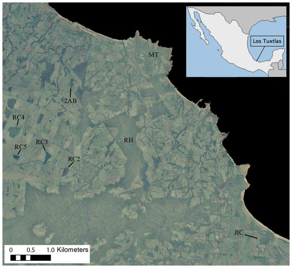 Ortophoto obtained from INEGI (http://www.inegi.org.mx) of our 7,500 ha study area in the Los Tuxtlas Biosphere Reserve, Veracruz, Mexico, indicating the forest fragments inhabited by the 10 study groups.