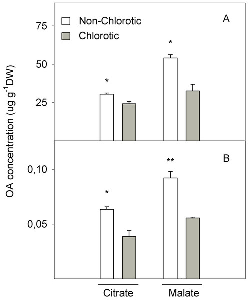 Organic acids (OA, citrate and malate) concentrations (in μg g−1 DW) determined in (A) the total tissue and (B) apoplast fraction of the non-chlorotic and chlorotic fully expanded leaves of ‘Navelina’ orange trees.