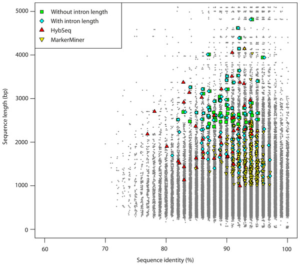 Length versus variability of potential sequence markers (grey dots) and those selected using BestMarkers.py from the pools generated by the different methods (coloured symbols).