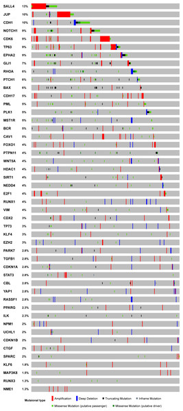 Mutational profile for the 48 genes with both tumor suppressor and oncogenes roles.