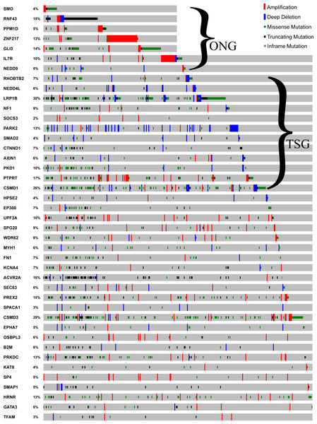 Mutational profile for the 82 driver genes.