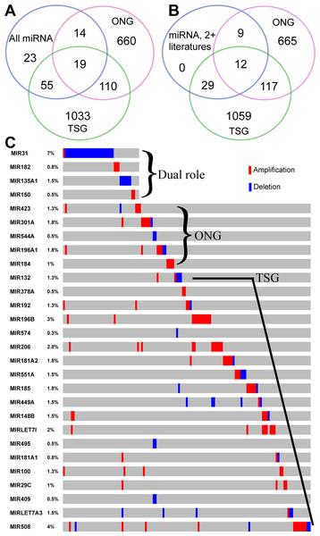 Overlapping analysis of GC-implicated miRNAs, tumor suppressors, and oncogenes.