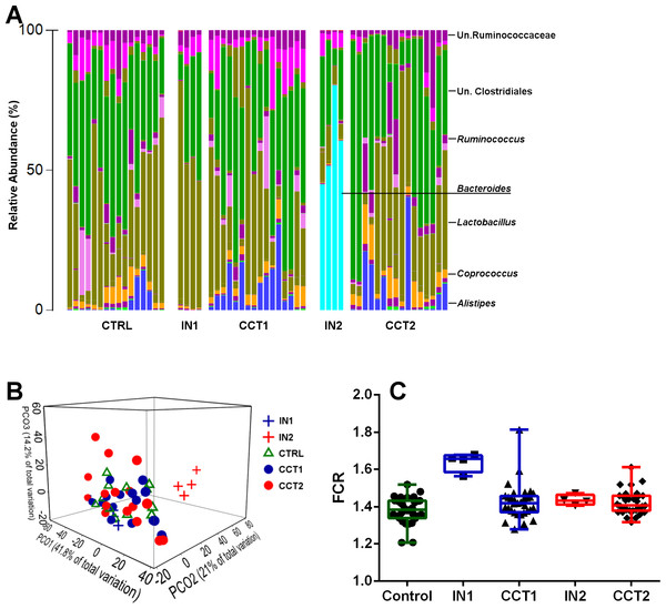 Barchart showing cecal microbiota at the genus level of all 3 treatment groups and their corresponding inoculums (A).