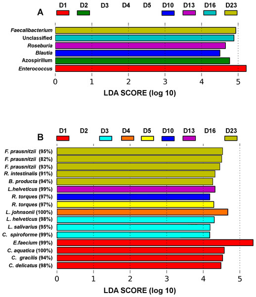 LEfSe analysis identified genera (A) and OTUs (B) that characterize the differences between the microbiota development stages.