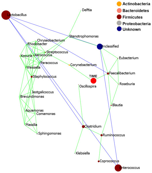 Pearson correlation network diagram showing interactions (Person correlations) between the 20 most abundant genera and time of development (Days).