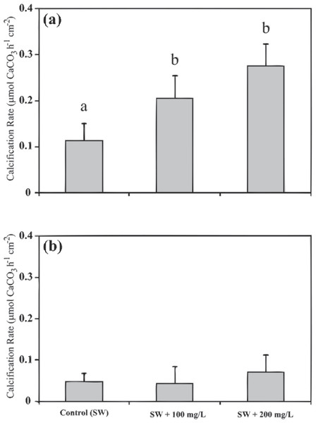 Calcification rates of Stylophora pistillata under different calcium seawater (SW) concentrations of seawater plus 100 mg/L calcium and plus 200 mg/L calcium during 11:00 (A) and during 23:00 (B).