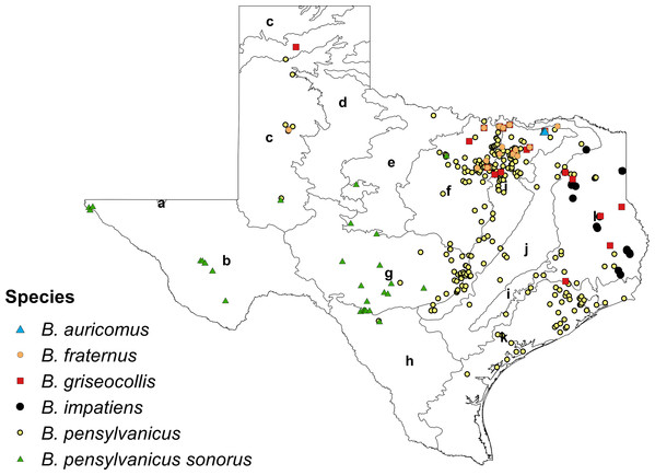 Novel presence data (n = 747) compiled from the citizen science repositories iNaturalist and Texas Bumblebees Facebook page.