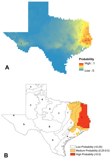 An updated understanding of Texas bumble bee (Hymenoptera: Apidae ...