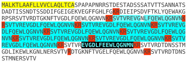 Conceptual translation of the predicted open reading frame of SG-SASP from Locusta migratoria conceptual translation of the SASP mRNA predicted from transcriptome and genome sequences (Veenstra, 2016).
