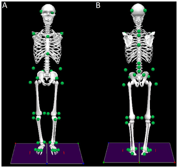 Front (A) and rear (B) views of the biomechanical model of the human body with the marker set convention (represented as green dots).