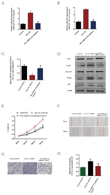 The extracellular vesicles secreted by lung cancer cells in radiation ...